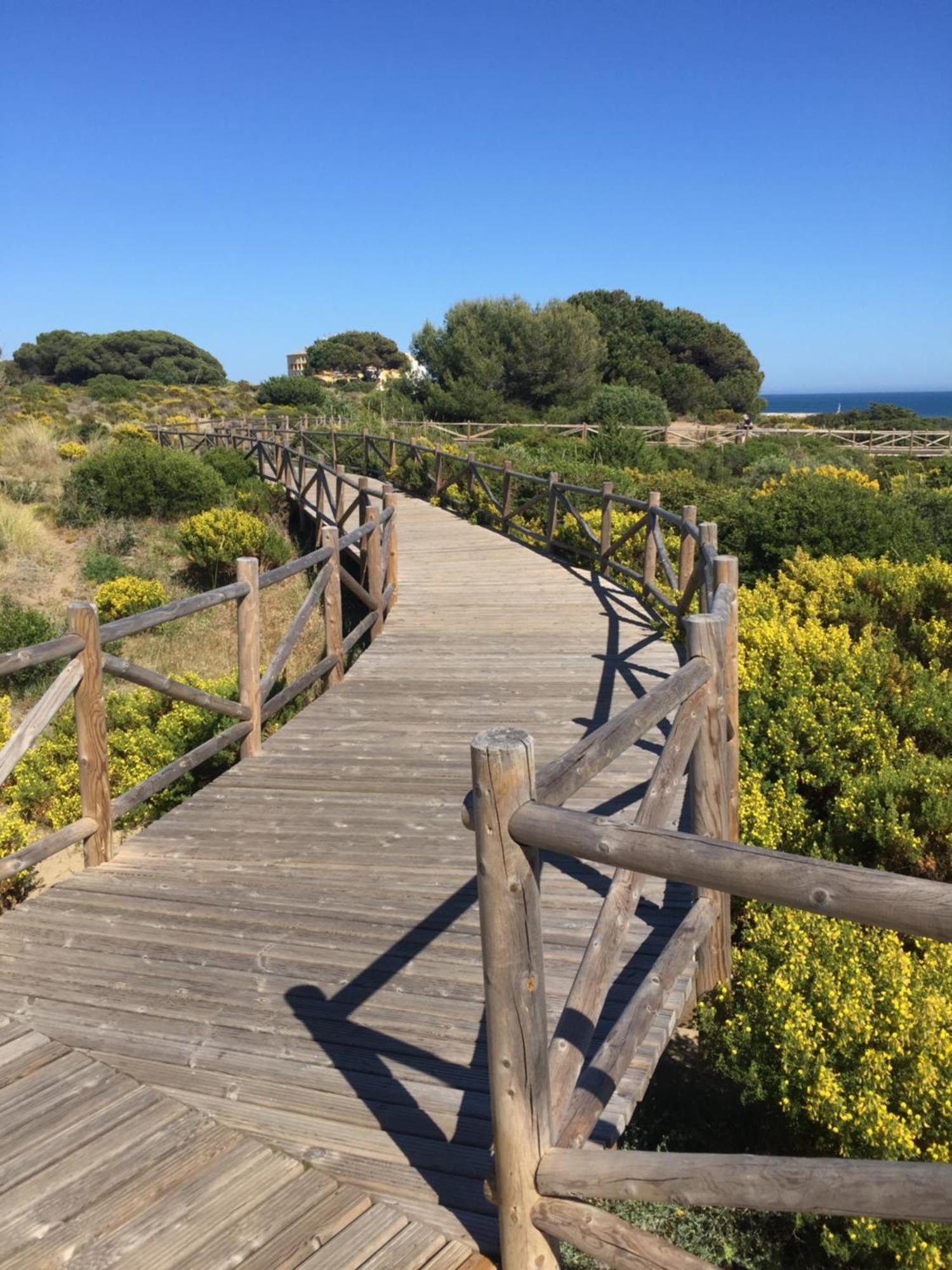 Cabopino N Lejlighed Marbella Eksteriør billede